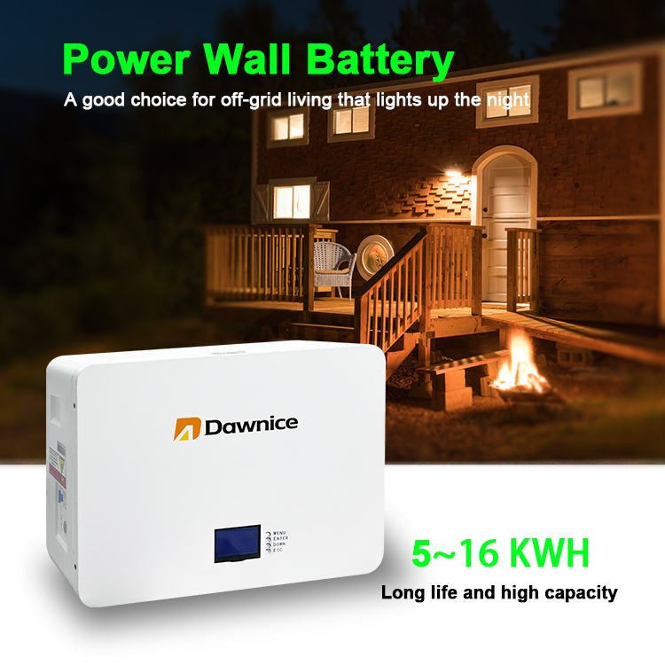 dawnice 24v battery introduction